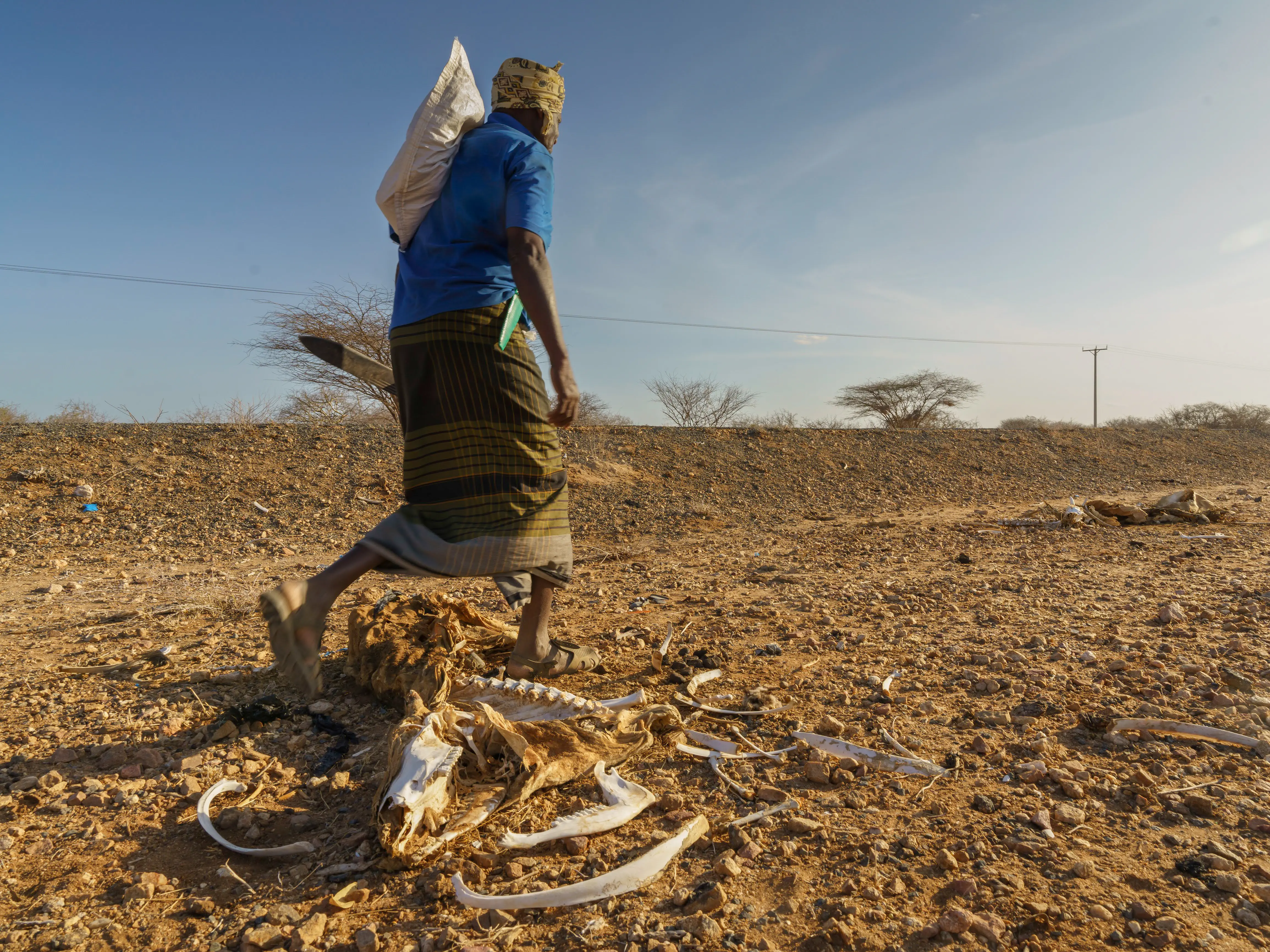 The Real Shock to Crop Trading Isn’t Climate It’s Unpredictability