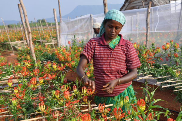 When Planning Starts With Assumptions, Markets Pay the Price